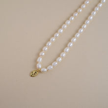 Load image into Gallery viewer, Freshwater Pearl Coin Pendant Necklace
